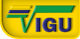 VIGU TRADING COMPANY LTD Logo